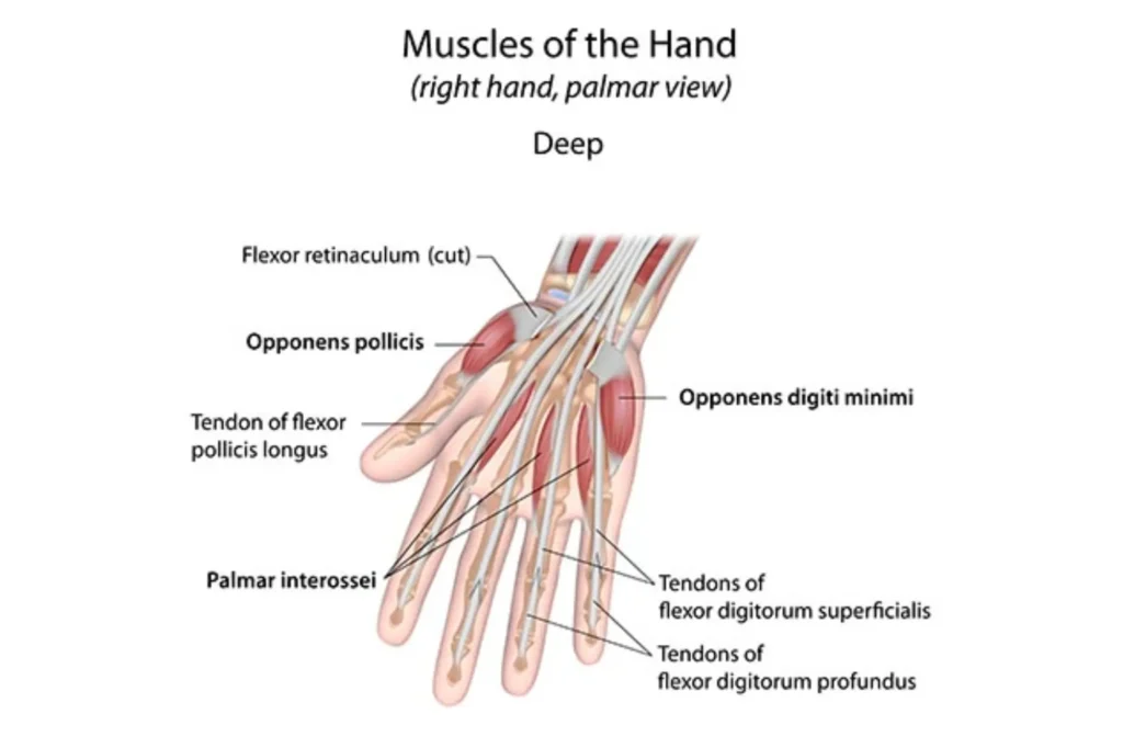 hand specialist in Pakistan