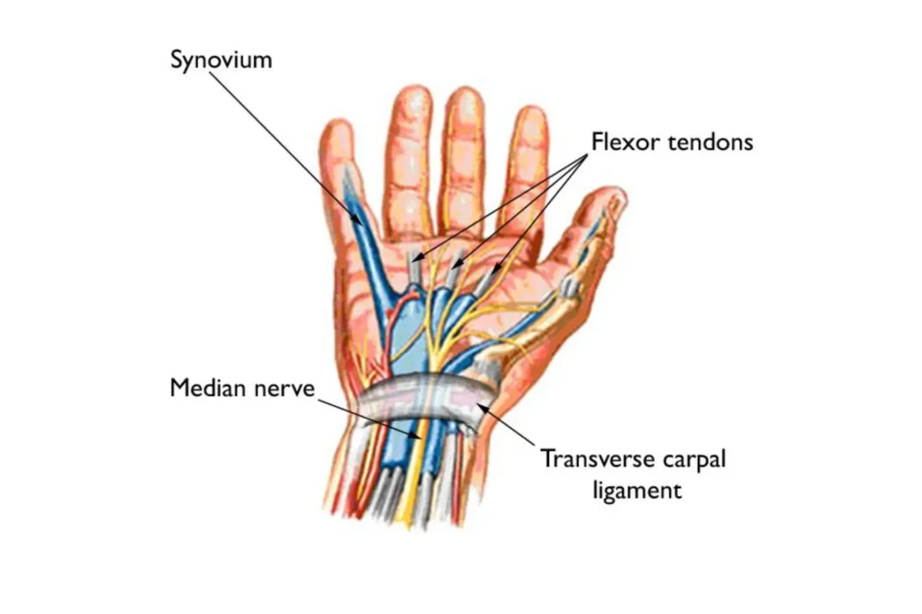 hand surgeon in pakistan